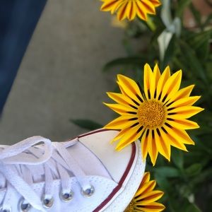 Meet your Posher, Beatriz